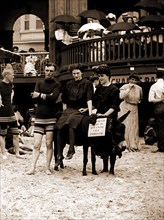 Man and women posed on donkey for photo at crowded beach, Atlantic City, N.J, Beaches, Donkeys,
