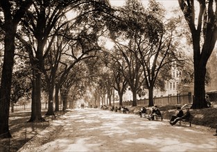 Beacon Street Mall, Boston, Streets, Parks, United States, Massachusetts, Boston, 1899