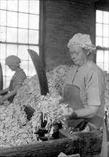 Mt. Holyoke, Massachusetts - Paper. American Writing Paper Co. Rag sorting (Irish), 1936 , Lewis