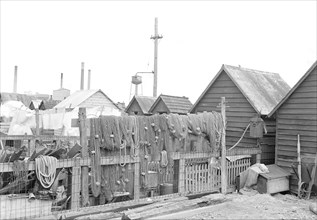 Millville, New Jersey - Scenes. A view of back yards of Whitall Tatum Company houses looking toward