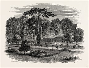 The Gardens and Yew Tunnel, Melbourne Hall, UK, England, engraving 1870s, Britain
