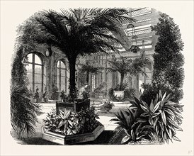 The Private Conservatory, Trentham, UK, England, engraving 1870s, Britain