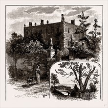 FINCHLEY MANOR HOUSE AND TURPIN'S OAK, UK, engraving 1881 - 1884