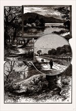 VIEWS IN EPPING FOREST, UK, engraving 1881 - 1884