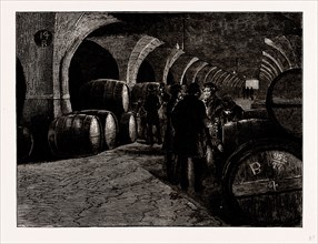 VAULTS AT THE DOCKS, Isles of Dogs, London, UK, engraving 1881 - 1884