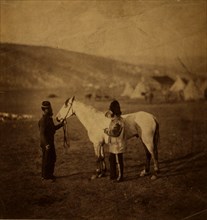 Colonel Clarke, Scots' Greys, with the horse wounded at Balaklava, Crimean War, 1853-1856, Roger