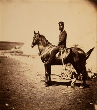 Captain Walker, 30th Regiment, Crimean War, 1853-1856, Roger Fenton historic war campaign photo