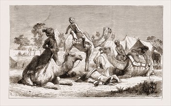 INDIA, CAMEL RIDERS OF A NATIVE CAVALRY REGIMENT PREPARING FOR A MARCH, 1876