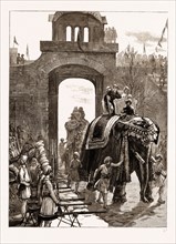 ENTRY OF THE PRINCE OF WALES INTO JAMMU WITH THE MAHARAJAH OF KASHMIR, INDIA, 1876