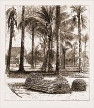 THE WAR IN THE MALAY PENINSULA, 1876: THE BARRACKS AT THE RESIDENCY, BANDA BAHRU, WITH THE GRAVES