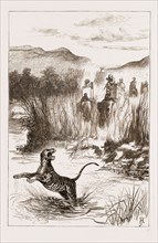 THE PRINCE OF WALES HUNTING IN THE TERAI: SHOOTING A TIGER FROM THE RIVER BANK, 1876