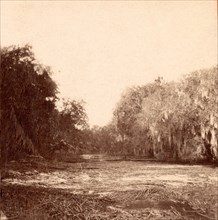 Mud Creek, Hilton Head Island, S.C., USA, US, Vintage photography