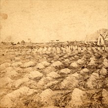 Soldiers' graves near the General Hospital, City Point, Va., US, USA, America, Vintage photography