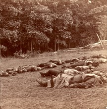 Union (i.e. Confederate) dead at Gettysburg, US, USA, America, Vintage photography
