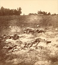 Unburied dead on battlefield, US, USA, America, Vintage photography