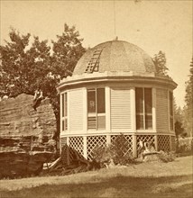 Dancing pavilion, on stump of big tree, US, USA, America, Vintage photography