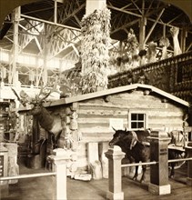 Log cabin occupied by President Roosevelt, when a ranchman in North Dakota, Agricultural Building,