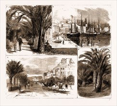 THE VISIT OF THE PRINCE OF WALES TO CANNES AND NICE, FRANCE, 1883: 1. In the Garden of the Hotel du