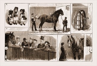 THE CART-HORSE SHOW AT THE AGRICULTURAL HALL, 1883: 1. "Fillies Under Four Years Old." 2. The Last