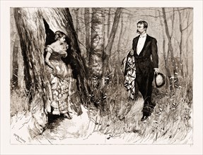 "THE ROMANTIC ADVENTURES OF A MILKMAID": "I CAN'T GET OUT OF THIS DREADFUL TREE!", 1883
