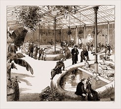 THE NEW REPTILE HOUSE AT THE ZOOLOGICAL GARDENS, UK, 1883
