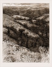 Congo Scenery on the Road to Isangila, Africa, 1883