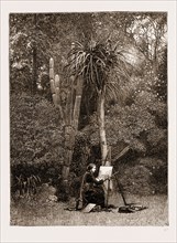 MISS NORTH, THE FLORAL ARTIST, AT WORK AT GRAHAMSTOWN, SOUTH AFRICA, 1883
