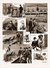 NOTES AT A DOG SHOW, 1883