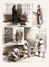 SCENES FROM THE EGYPTIAN PRISONS, CAIRO, 1883; THE WOMEN'S WARD, IN FOR LIFE; A WARDER, A FRIENDLY