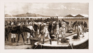 THE REBELLION IN THE SUDAN, WITH BAKER PASHA'S REINFORCEMENTS, 1883: ARRIVAL OF THE GENDARMERIE AT
