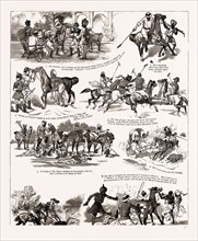 EPISODES IN THE CAREER OF A POLO PONY, 1886