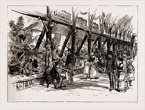 AUSTRALIAN EXHIBITS AT THE COLONIAL AND INDIA EXHIBITION, 1886: THE FERNERY, VICTORIAN COURT