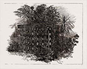AUSTRALIAN AND NEW ZEALAND EXHIBITS AT THE COLONIAL AND INDIAN EXHIBITION, 1886: A MAORI TOMB
