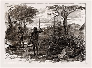 AUSTRALIAN AND NEW ZEALAND EXHIBITS AT THE COLONIAL AND INDIAN EXHIBITION, 1886: SCENE ON THE