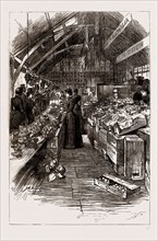 THE COLONIAL AND INDIAN EXHIBITION, 1886: THE AUSTRALIAN FRUIT STALLS IN THE COLONIAL MARKET