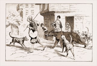 STREET DOGS BARKING AT A DANCING BEAR AND HIS KEEPER IN CONSTANTINOPLE, ISTANBUL, TURKEY, 1897