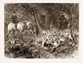 "HARD PRESSED": A WOODLAND SCENE, 1897; Horsemen following dogs chasing a fox; fox hunting