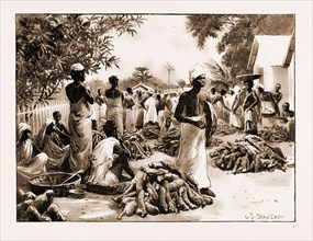 THE ROYAL NIGER COMPANY'S EXPEDITION: EVERYDAY SCENES ON THE RIVER NIGER, 1897: WOMEN SELLING YAMS