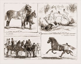TIIE HORSE SHOW AT THE ALEXANDRA PARK LONDON UK 1873