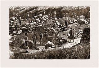 THE TRANSVAAL GOLD FIELDS, SOUTH AFRICA, 1875: DIGGERS AT WORK
