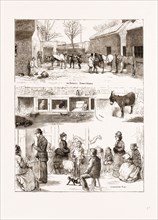 THE ANIMAL HOSPITAL IN THE WANDSWORTH ROAD, UK, 1875
