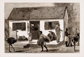 THE REBELLION IN THE TRANSVAAL, SOUTH AFRICA, 1881: Exterior of a Boer's House.