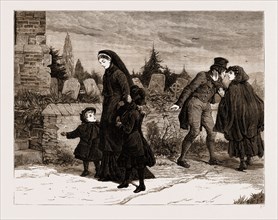 THE LAND AGITATION IN IRELAND: THE WIDOW AND THE ASSASSIN, 1881