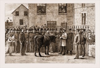 THE LAND AGITATION IN IRELAND, 1881: "BOY COTTERS BOYCOTTED": AT SLIGO COURT-HOUSE, SELLING CATTLE