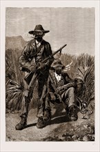 THE LATE RISING IN THE TRANSVAAL, SOUTH AFRICA, 1881: A BOER VEDETTE