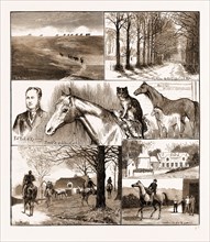A DAY AT THE RUSSLEY STABLES, 1881; A HORSE AND A CAT