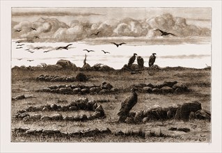 THE RECENT RISING IN THE TRANSVAAL, SOUTH AFRICA: GRAVES ON THE INGOGO HEIGHTS, 1881