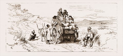 THE REVOLT IN THE TRANSVAAL, SOUTH AFRICA, 1881: BRITISH REFUGEES
