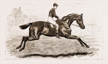 "IROQUOIS," THE WINNER OF THE DERBY OF 1881, AND HIS JOCKEY, FRED ARCHER