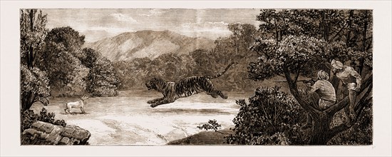 SPORT IN KASHMIR: TIGER SHOOTING FROM A "MACHAN", 1881